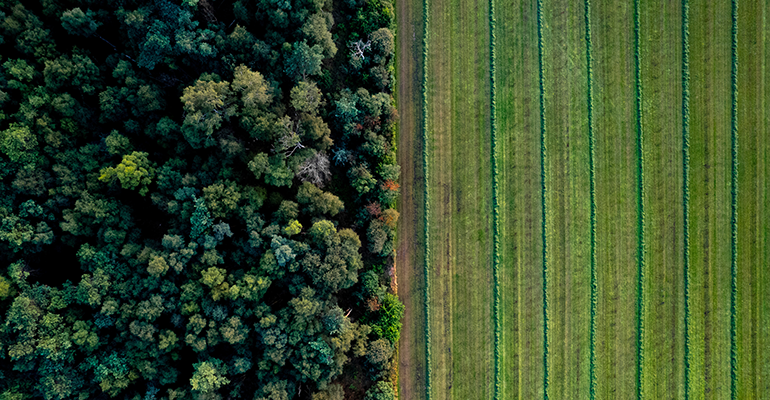 © AdobeStock/Maarten Zeehandelaar